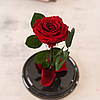 Троянда в колбі | Вічна Червона троянда Дропшипинг, фото 3