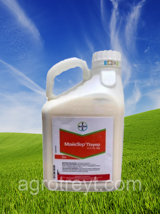 Купить Гербицид МайсТер Пауер OD ( BAYER ) 5 л., цена 4100 ₴ — Prom.ua ...