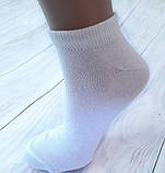 Шкарпетки жіночі Житомир бавовна спорт білі  37-39 | 12 пар, фото 3