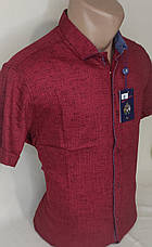 Стильна чоловіча червона теніска ANG vk-0001 приталена в принт Туреччина, чоловіча сорочка короткий рукав XL, фото 5