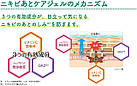 Kobayashi Atnon Acne Care Gel  гель для боротьби з прищами і догляду за шкірою після Акне, 10 г, фото 2