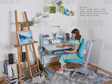 Комплект дитяча стіл-парта трансформер та крісло для дому | Mealux Sherwood Energy + Match, фото 3