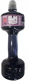Ізотонік Gym Water Energy Kofeina Guarana Манго Ожина 700ml