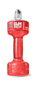 Ізотонік Gym Water Minerals Magnez Cynk Selen Манго Малина 700ml
