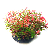 Искусственное растение для аквариума Atman Q-087A, 7.5 см