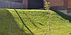 Георешітка об'ємна УГС 30/5 (вічко 20х20см, висота 5см), фото 4