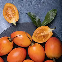 Семена желтого томатного дерева, тамарило Cyphomandra betacea 'Yellow Fruit' Yellow Tamarillo