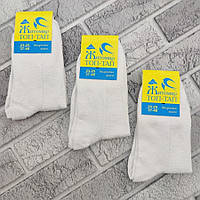 Шкарпетки жіночі середні літо сітка білі р.23-25 ​​(37-40) ТОП-ТАП lycra 30035561