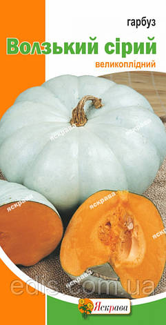 Гарбуз Волзький сірий 20 г, насіння Яскрава, фото 1