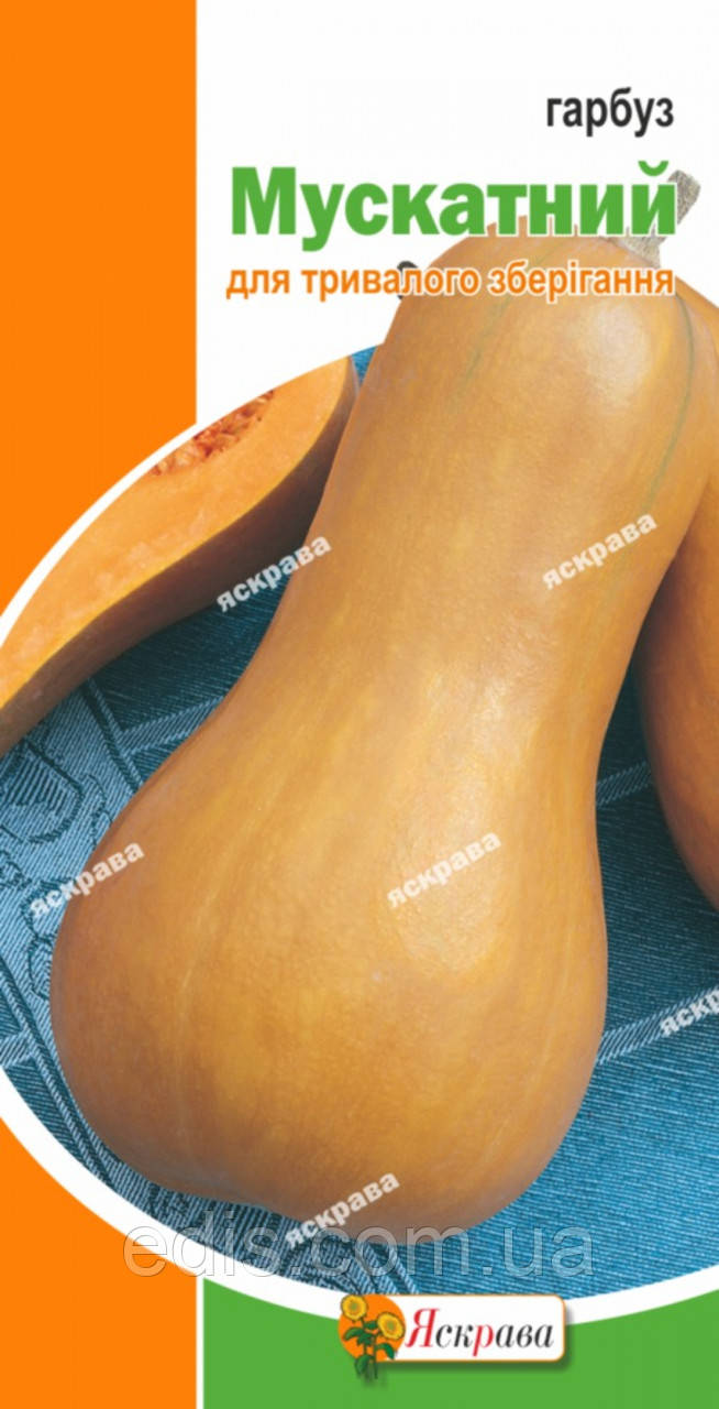 Гарбуз Мускатний 1 г, насіння Яскрава