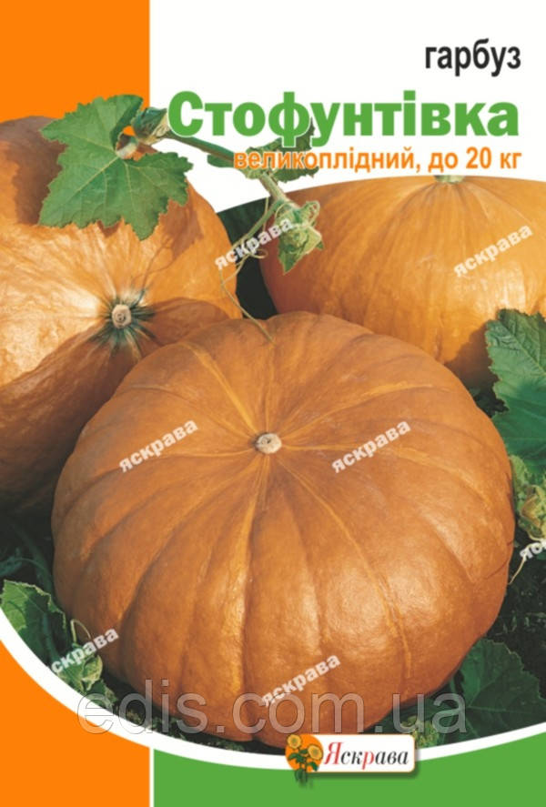 Гарбуз Стофунтівка 20 г, насіння Яскрава