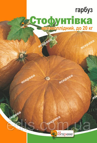 Гарбуз Стофунтівка 20 г, насіння Яскрава, фото 1