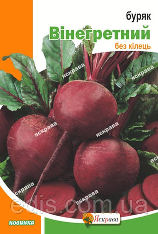 Буряк столовий Вінегретний 20 г, насіння Яскрава, фото 2