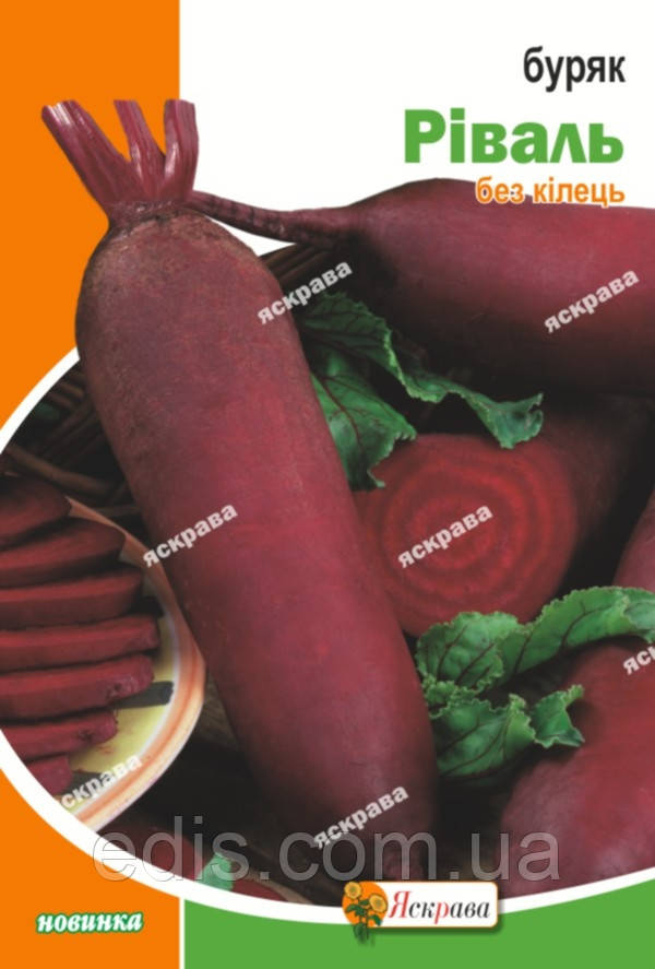 Буряк столовий Ріваль 20 г, насіння Яскрава