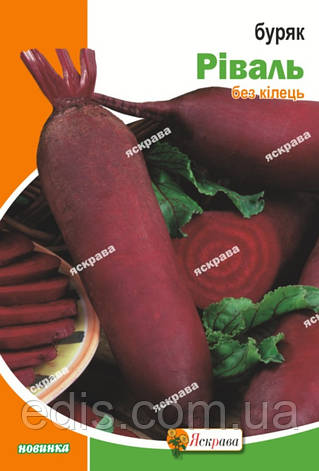 Буряк столовий Ріваль 20 г, насіння Яскрава, фото 1