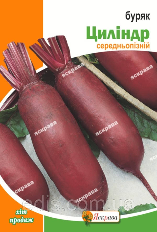 Буряк столовий Циліндра 20 г