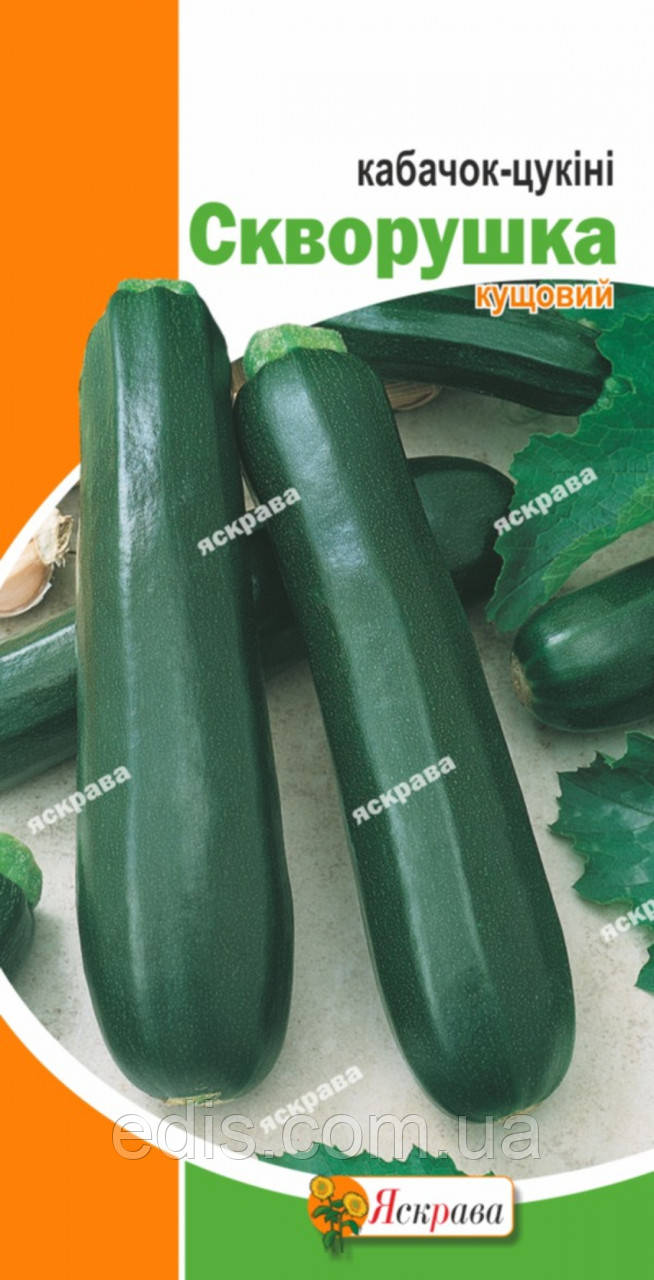 Кабачок Скворушка (цукіні) 3 г, насіння Яскрава