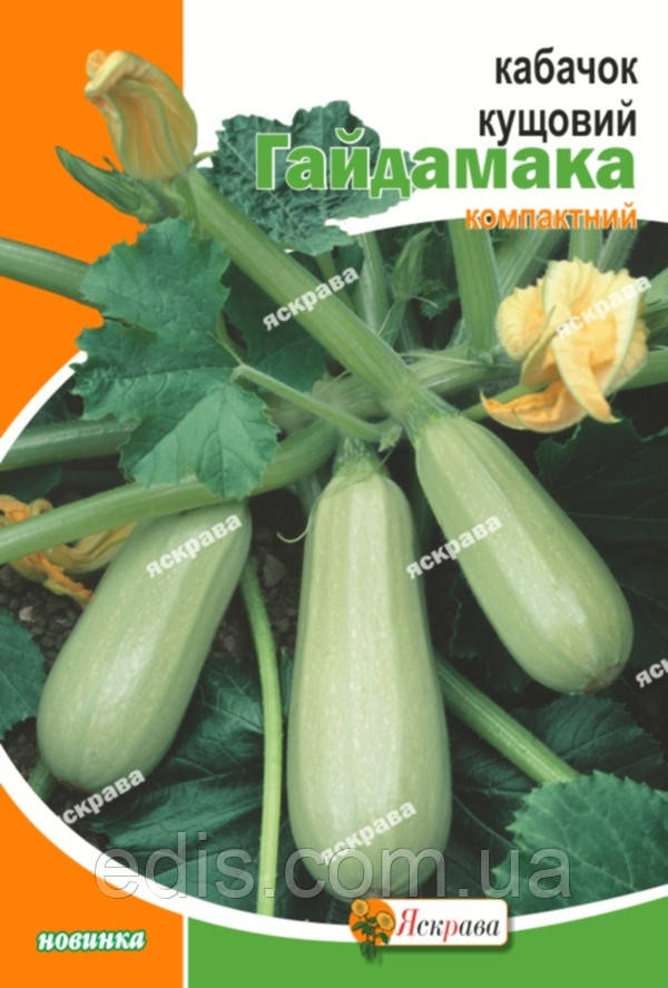 Кабачок Гайдамака 20 г, насіння Яскрава