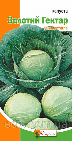 Капуста білоголова Золотий гектар 0,5 г, насіння Яскрава, фото 1