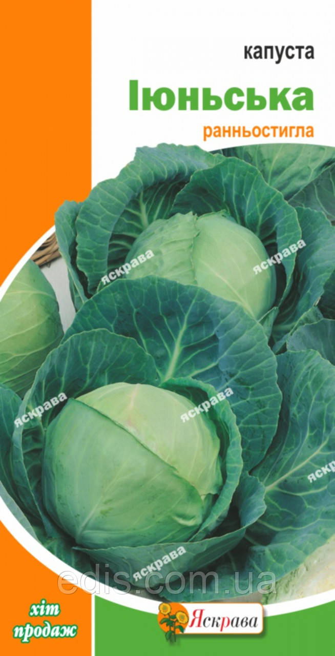 Капуста білоголова Іюньська 0,5 г, насіння Яскрава