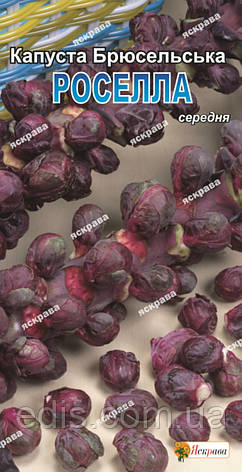 Капуста брюссельська Роселла (червона) 0,5 г, насіння Яскрава, фото 1