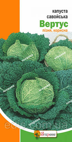 Капуста савойська Вертус 0,5 г, насіння Яскрава, фото 1