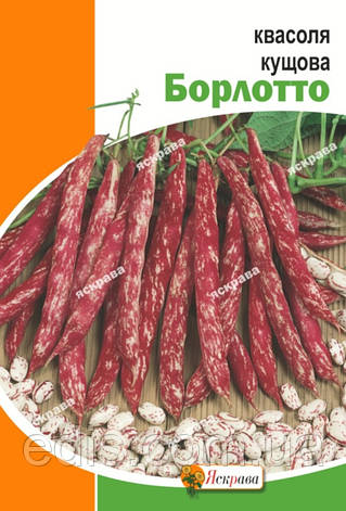 Квасоля Борлотто (кущова) 10 г, насіння Яскрава, фото 1