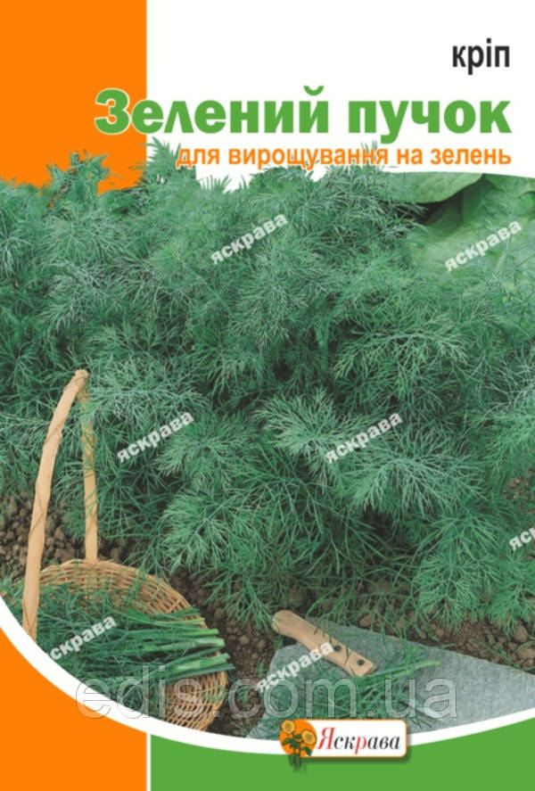 Кріп кущовий Зелений пучок 20 г, насіння Яскрава