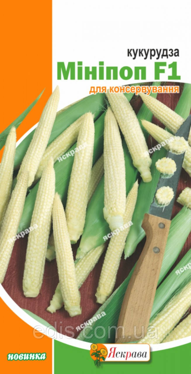 Кукурудза Мініпоп F1 1 г, насіння Яскрава