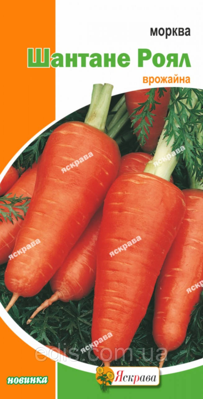 Морква Шантане Роял 3 г, насіння Яскрава