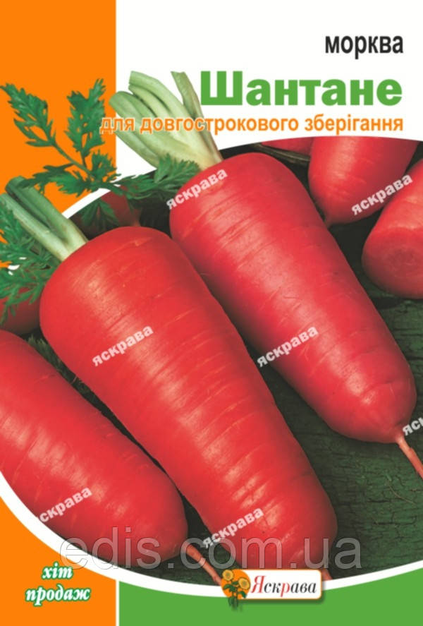 Морква Шантане 10 г, насіння Яскрава