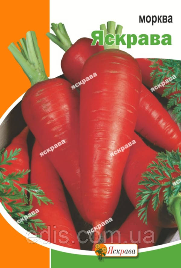 Морква Яскрава 20 г, насіння Яскрава