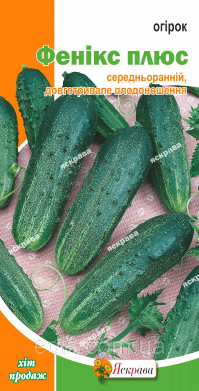 Огірок Фенікс плюс 1 г, насіння Яскрава