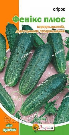 Огірок Фенікс плюс 1 г, насіння Яскрава, фото 1