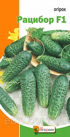 Огірок Рацибор F1 0,5 г, насіння Яскрава, фото 1