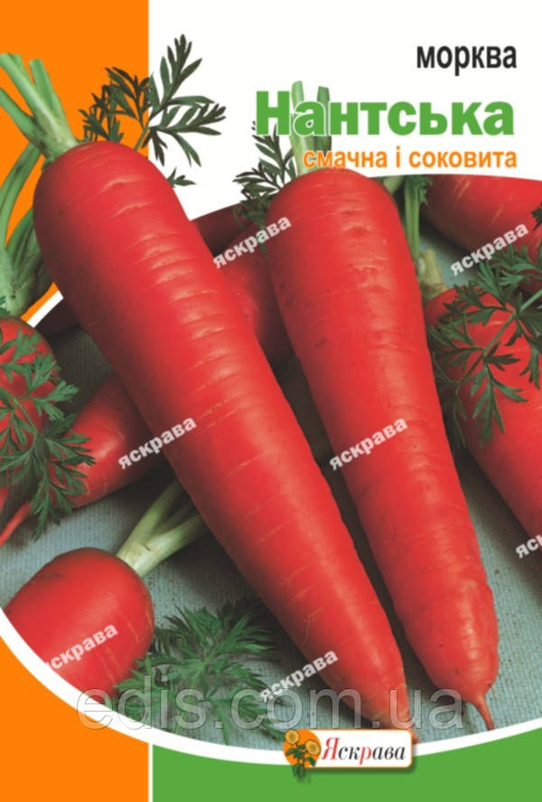 Морква Нантська 10 г, насіння Яскрава