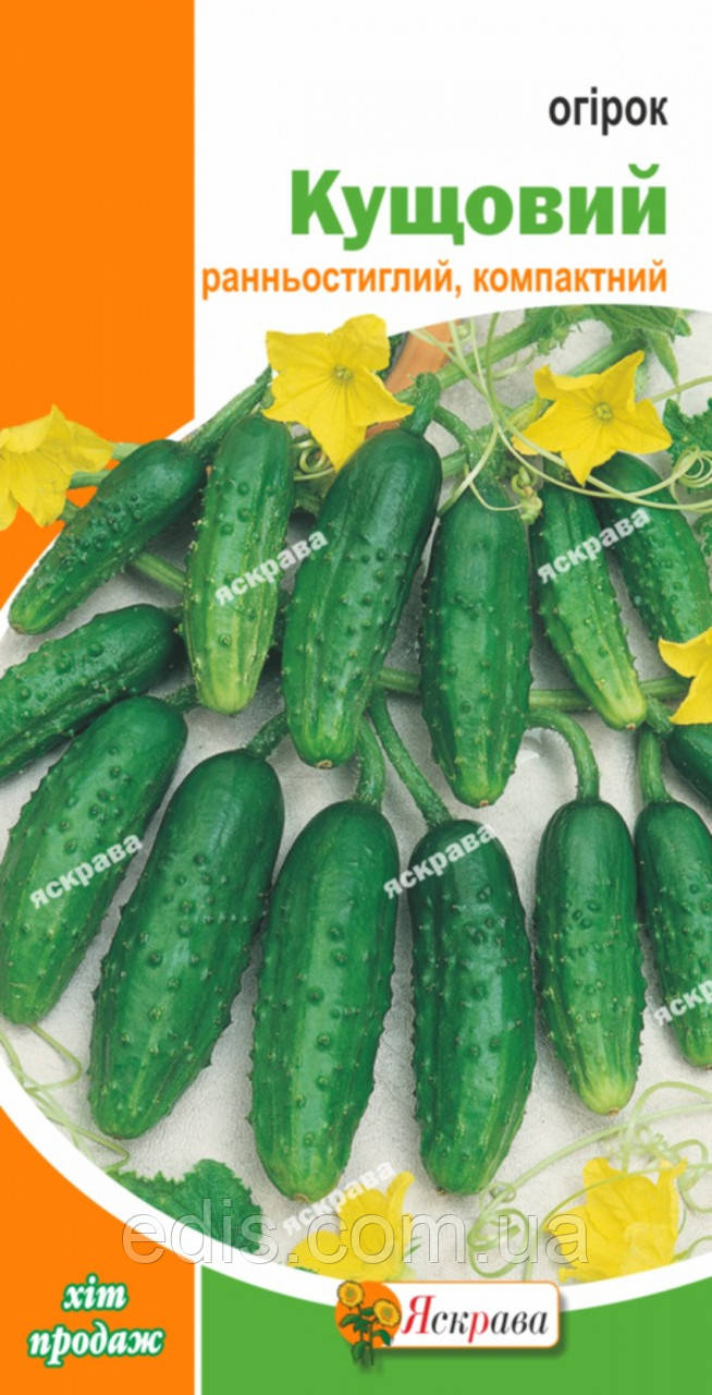 Огірок Кущовий 1 г, насіння Яскрава