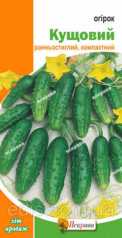 Огірок Кущовий 1 г, насіння Яскрава, фото 1