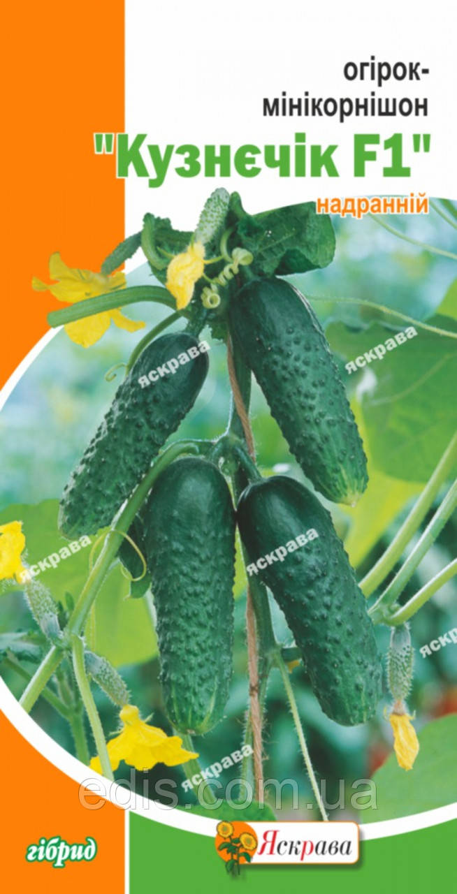 Огірок Кузнєчік F1 (букетний, самозапильний, корнішон) 0,5 г, насіння Яскрава