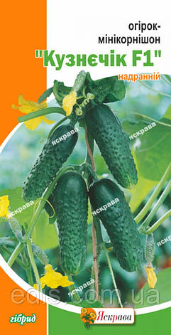 Огірок Кузнєчік F1 (букетний, самозапильний, корнішон) 0,5 г, насіння Яскрава, фото 1