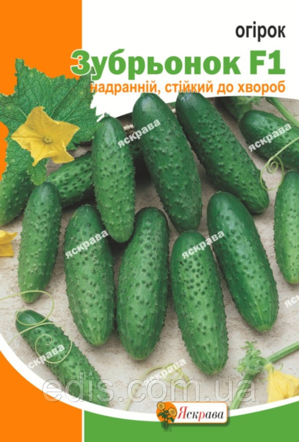 Огірок Зубрьонок F1 5 г, насіння Яскрава