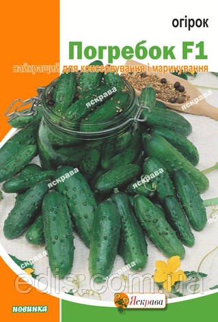 Огірок Погребок F1 5 г, насіння Яскрава, фото 1