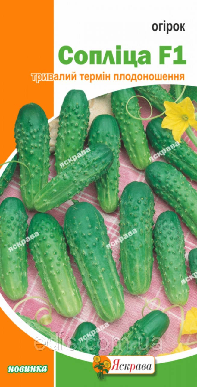 Огірок Сопліца F1 0,5 г, насіння Яскрава