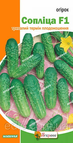 Огірок Сопліца F1 0,5 г, насіння Яскрава, фото 1