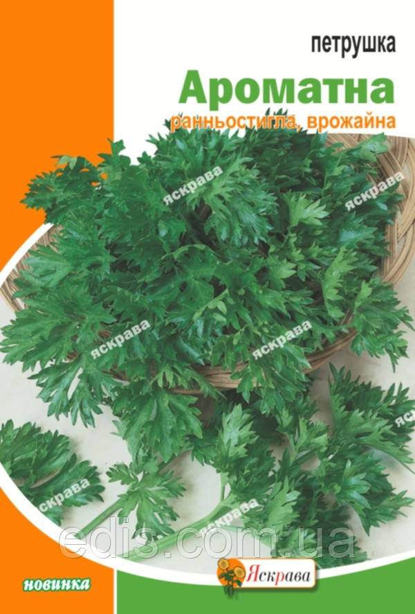 Петрушка листова Ароматна 20 г, насіння Яскрава