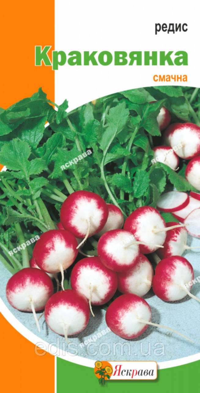 Редис Краковянка 3 г, насіння Яскрава