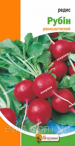 Редис Рубін 3 г, насіння Яскрава, фото 1