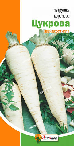 Петрушка коренева Цукрова 2 г, насіння Яскрава, фото 2