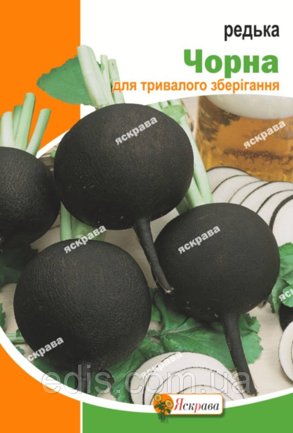 Редька Чорна кругла (зимова) 10 г, насіння Яскрава
