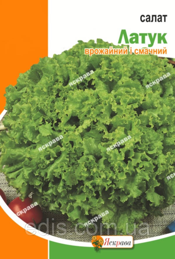 Салат Латук 10 г, насіння Яскрава